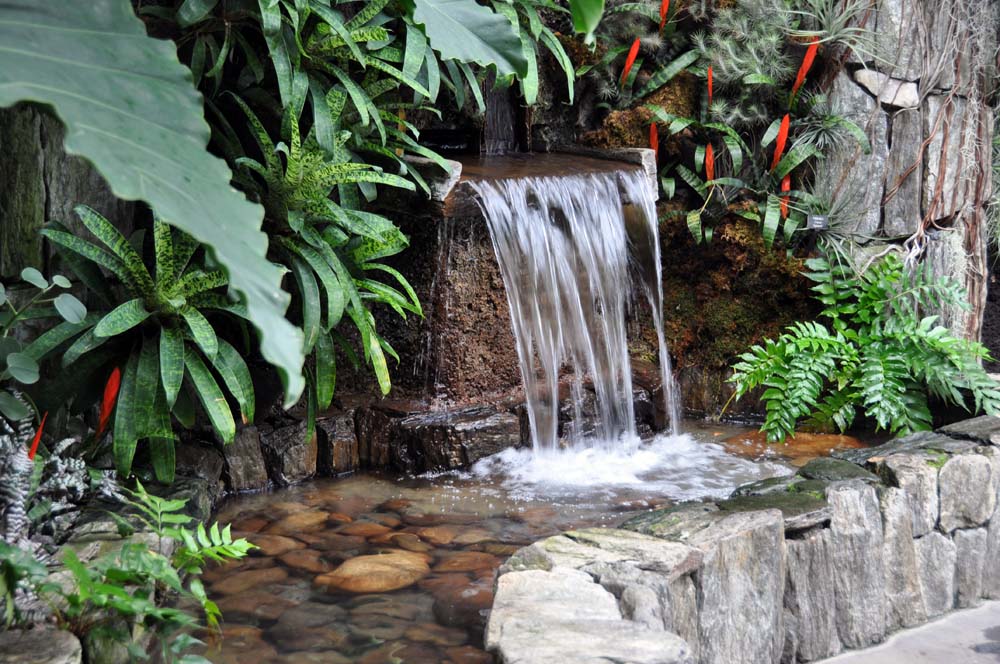 cascada de agua y plantas tropicales
