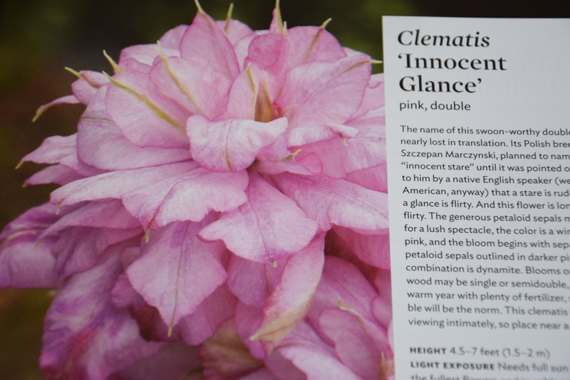 Guia plantas. Clematis (clematides) The Plant Lover's Guide to Clematis
