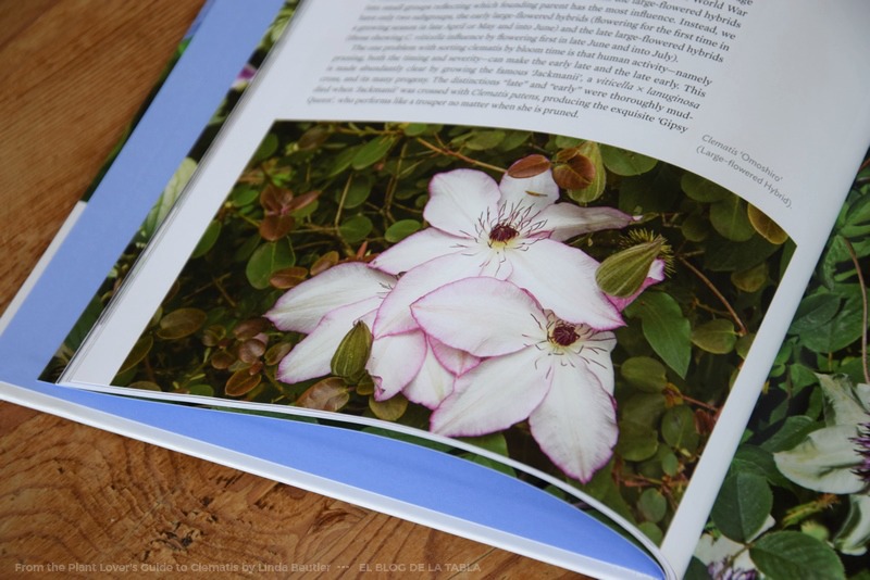 Guia plantas. Clematis (clematides) The Plant Lover's Guide to Clematis