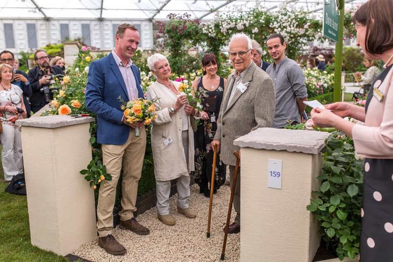 Judith Dench y David Austin presentando el rosal inglés 'Dame Judi Dench' en Chelsea Flower Show 