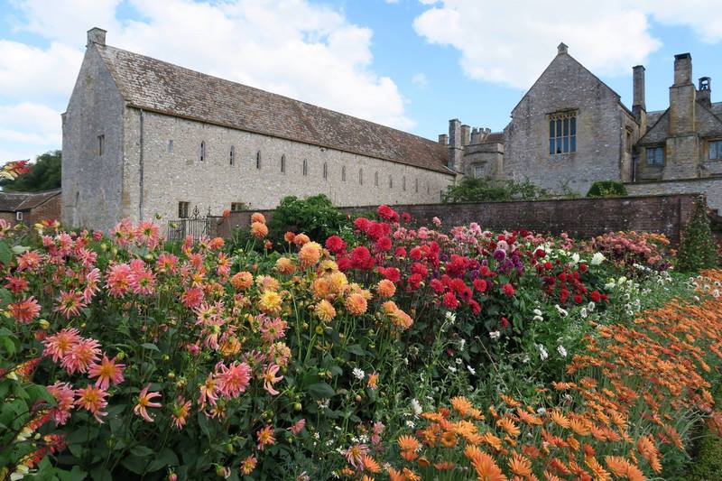 Dalias en los Jardines de Forde Abbey en Somerset, Reino Unido