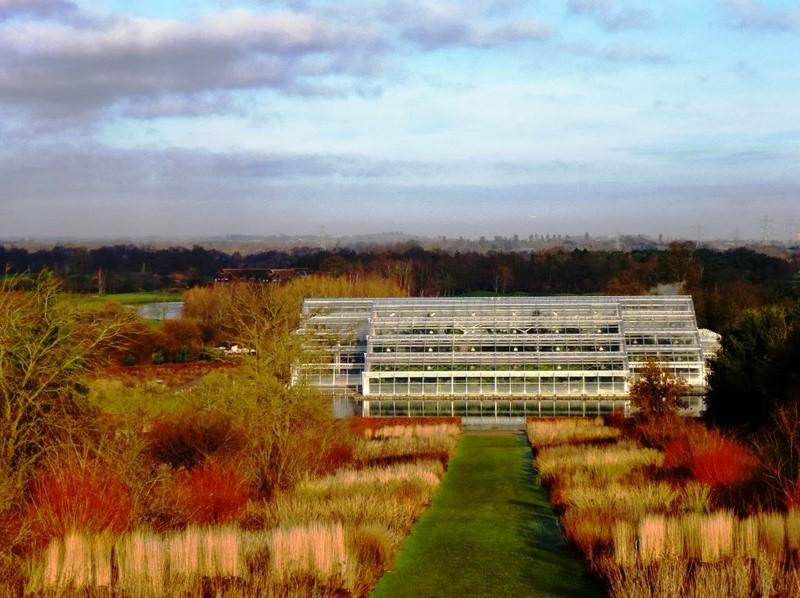 Glasshouse Borders Wisley Oudolf