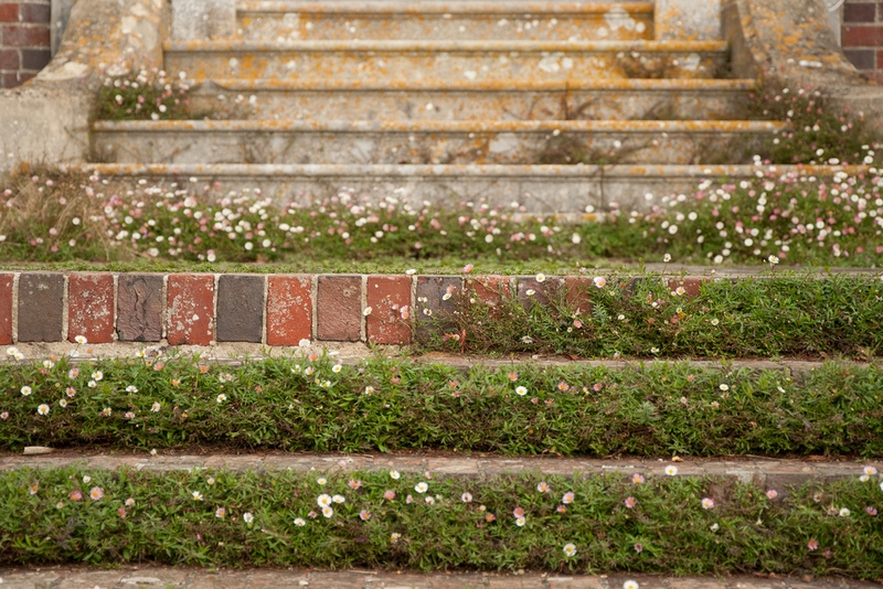 escalera de piedra y flores