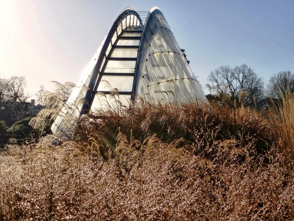 gramíneas jardines kew