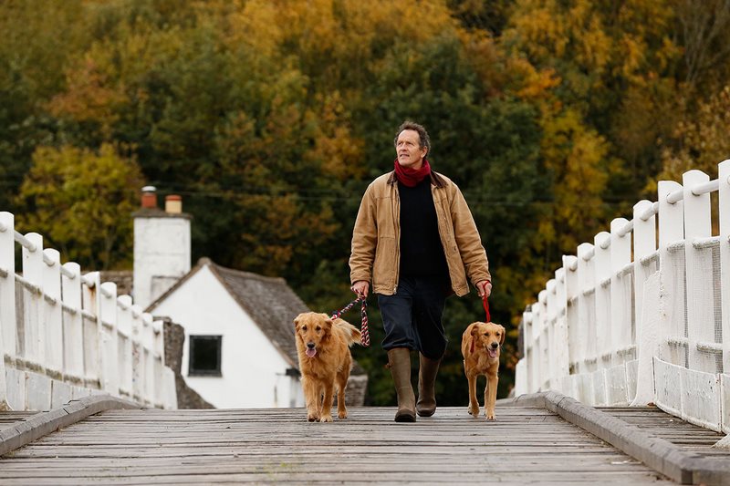 Presentador de Gardeners World, Monty Don, paseando con sus perros