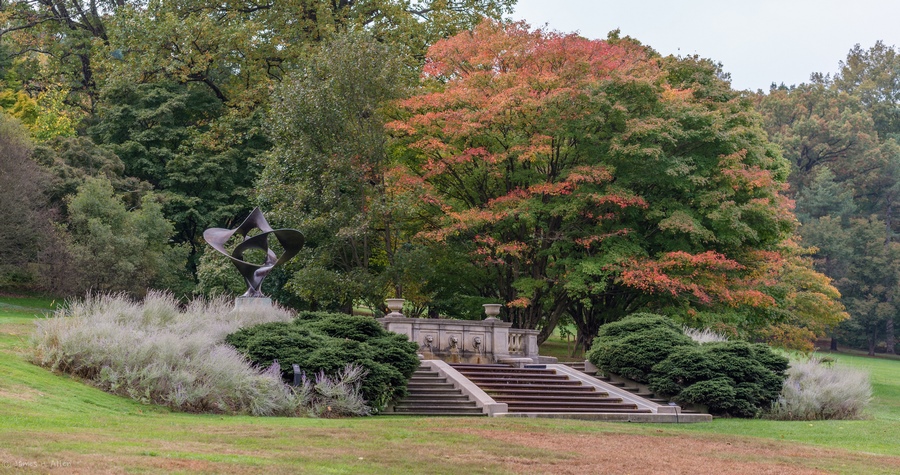 Arboreto Arboretum