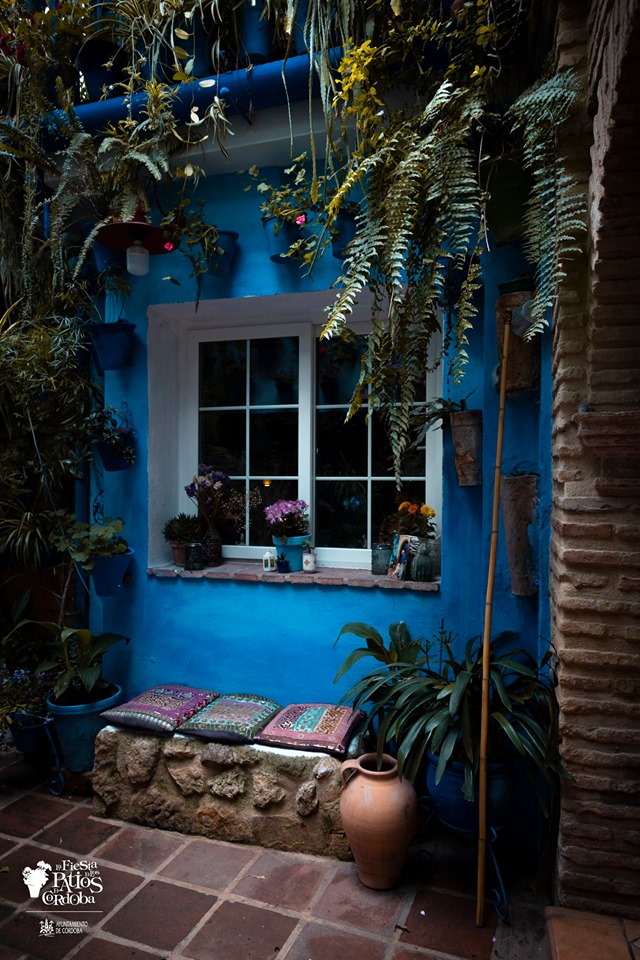 patios con pared azul, ventana con macetas, banco de piedra y cojines etnicos, macetas azules con plantas