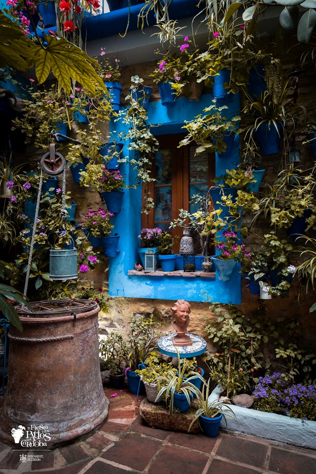 pared azul y ventana con macetas