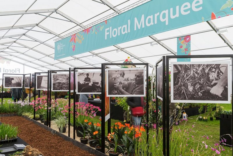 Devonshire  Floral Marquee. Chatsworth Flower Show 2017