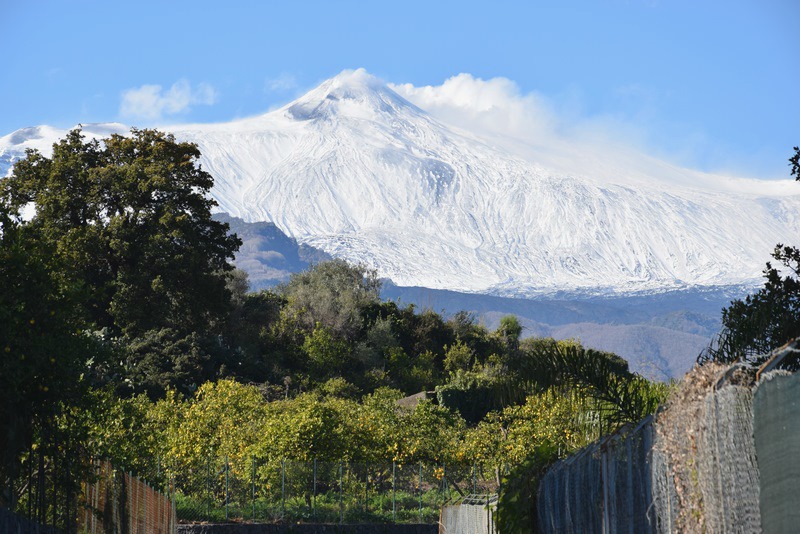 Limoneros y al fondo el volcán Etna nevado