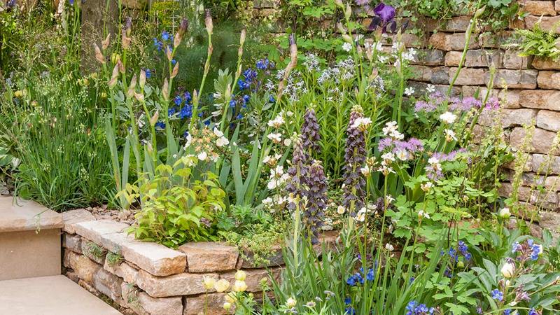 Jardin con muro de piedra seca y plantas de flor