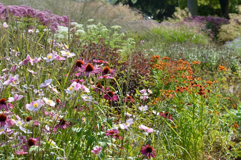 Un jardín diseñado por el paisajista Tom Stuart-Smith con plantación naturalista, sin perder de vista el marco histórico de Trentham Gardens