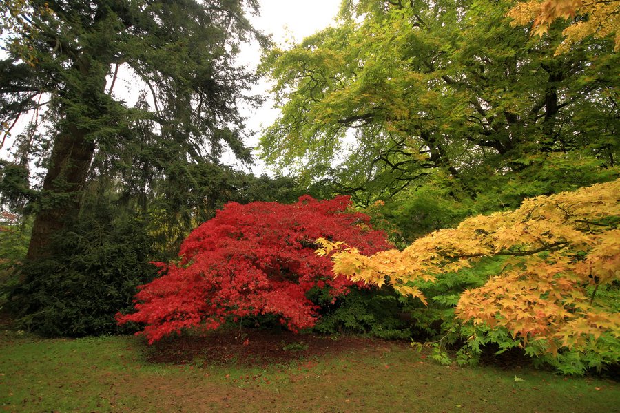 Arboreto Arboretum