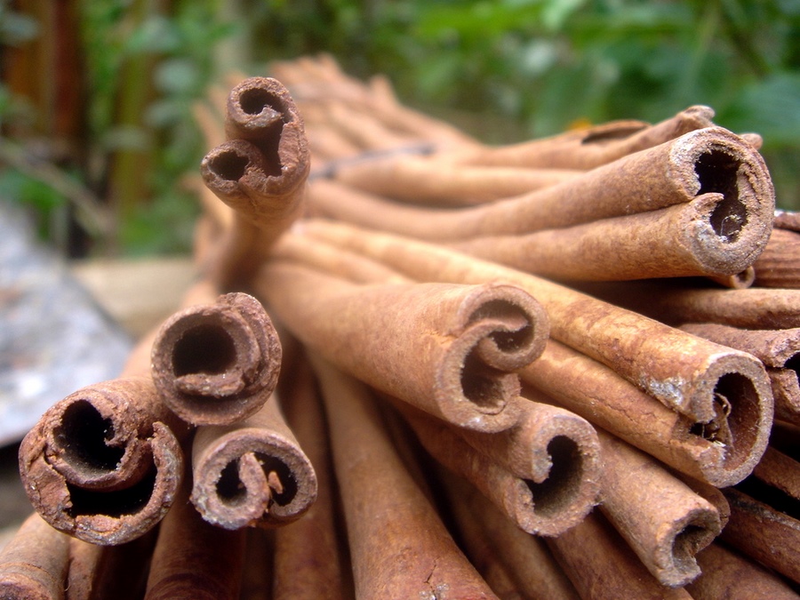 Canela de Ceilan en rama (Cinnamomum verum)