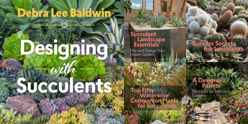 Designing with Succulents es un libro que proporciona información en profundidad sobre el cultivo, plantación, mantenimiento y diseño de jardines con plantas suculentas.
