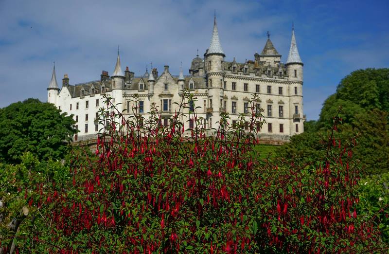 castillo escocés y fucsias rojas