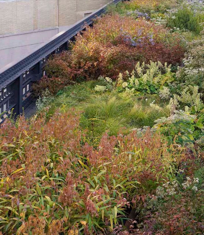 Northern Spur. High Line