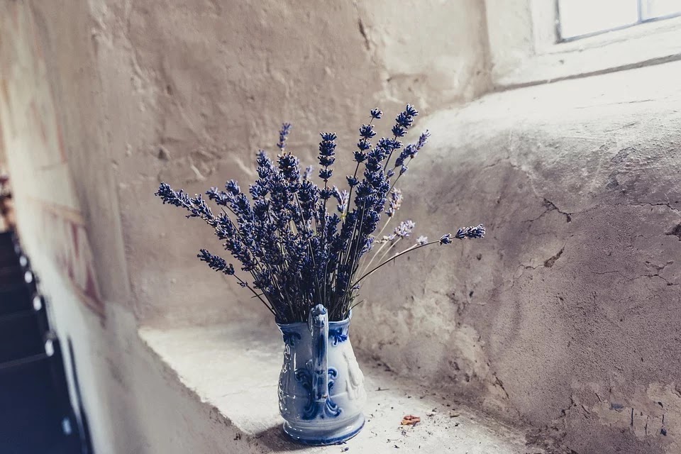 Flores de lavanda azul añil en un jarrón