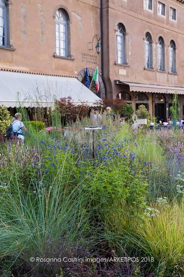 Gramineas ornamentales y plantas vivaces en jardin de Piet Oudolf Piazza Vecchia