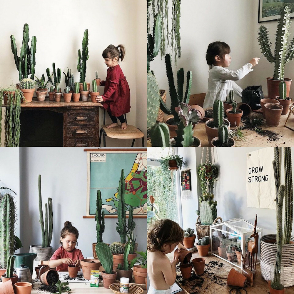 Niños con macetas, tierra y cactus