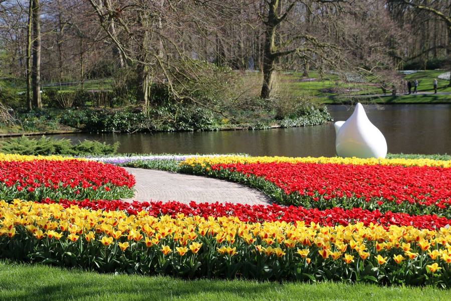 Tulipanes rojos y amarillos Keukenhof 2019 Flower Power
