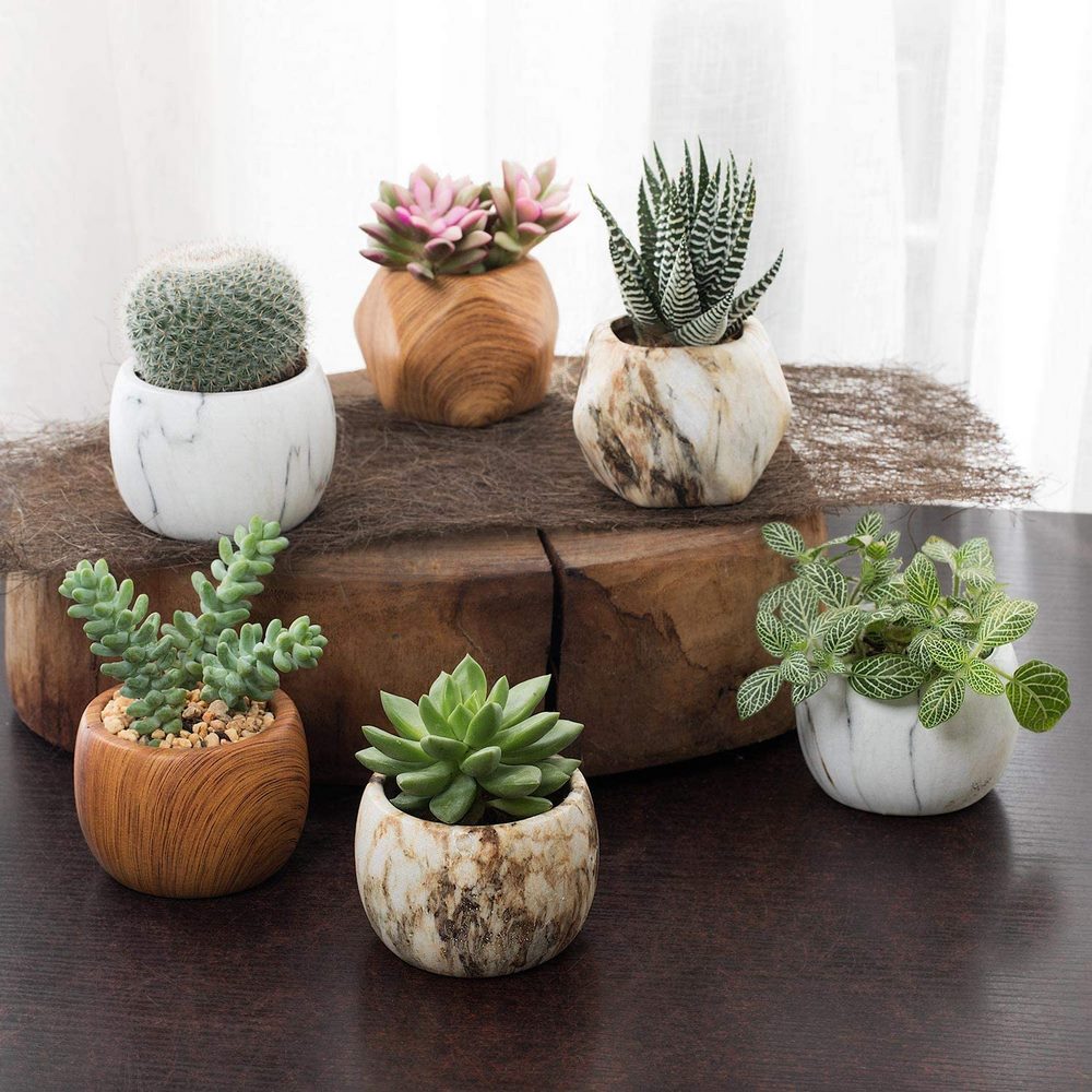 Pequeñas macetas decorativas para pequeñas plantas suculentas - EL BLOG DE  LA TABLA