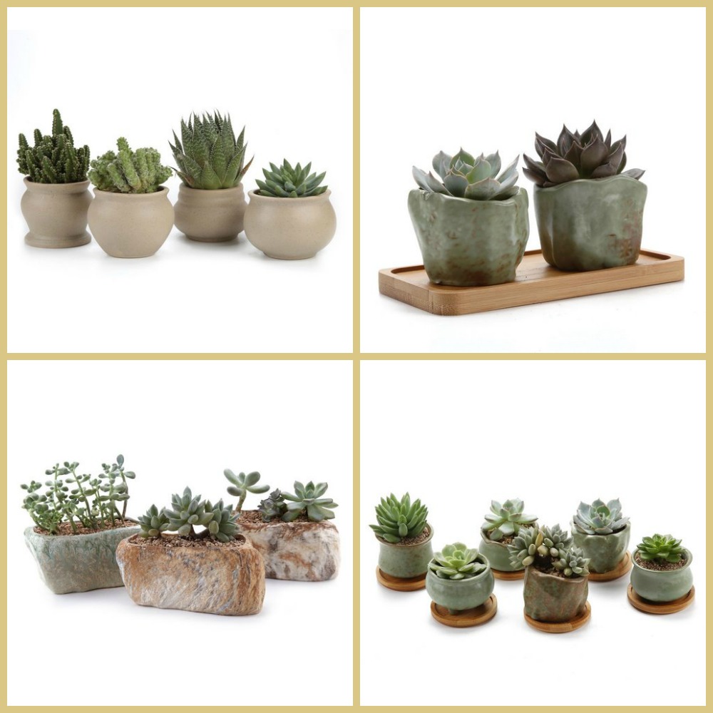 Pequeñas macetas decorativas para pequeñas plantas suculentas  Plantas  pequeñas de interior, Decoracion plantas, Plantas en maceta