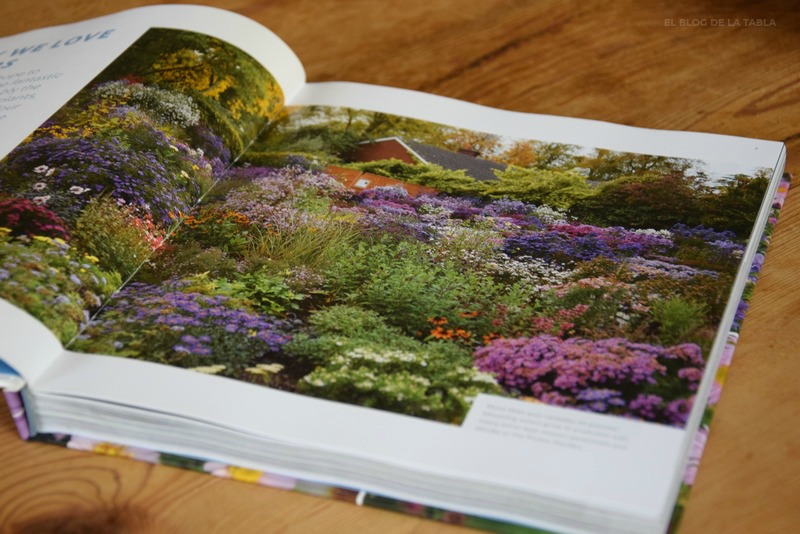 Libro The plant lover's guide to asters.  Paul Picton y Helen Picton