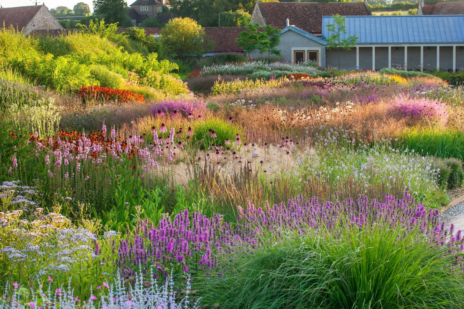Jardín naturalista de Oudolf con herbáceas vivaces y gramíneas ornamentales en verano
