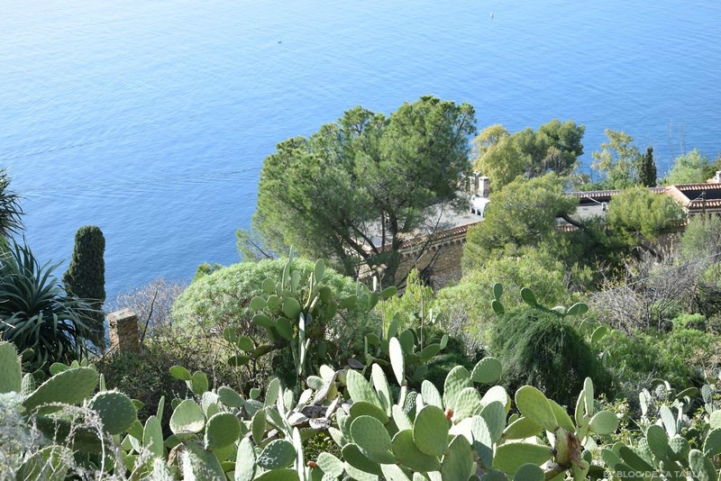 Palas de Chumbera y paisaje mediterraneo de Taormina en Sicilia con vistas al mar