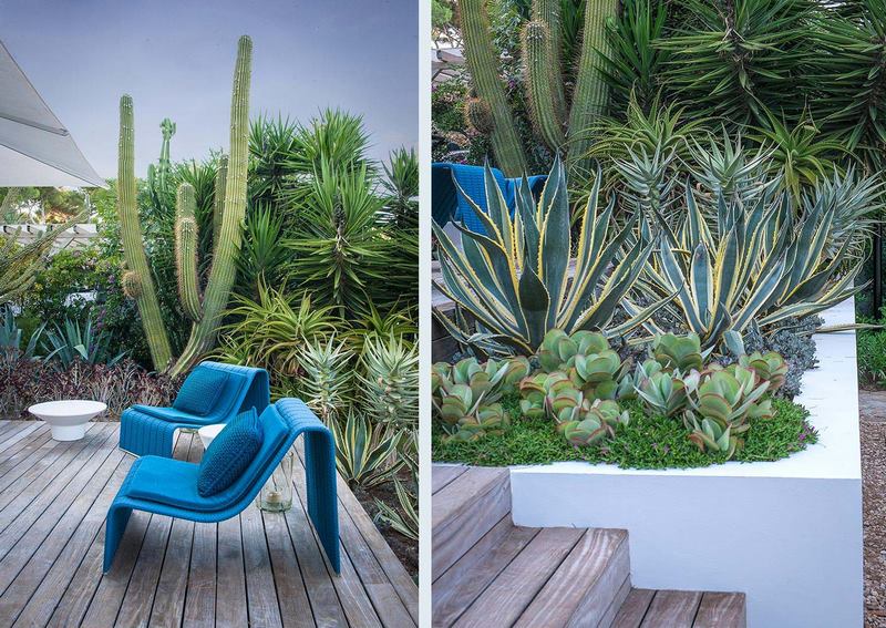Jardín con plantas suculentas, diseñado por el Anthony Paul en Cap d'Antibes,  Alpes Marítimos, sur de Francia