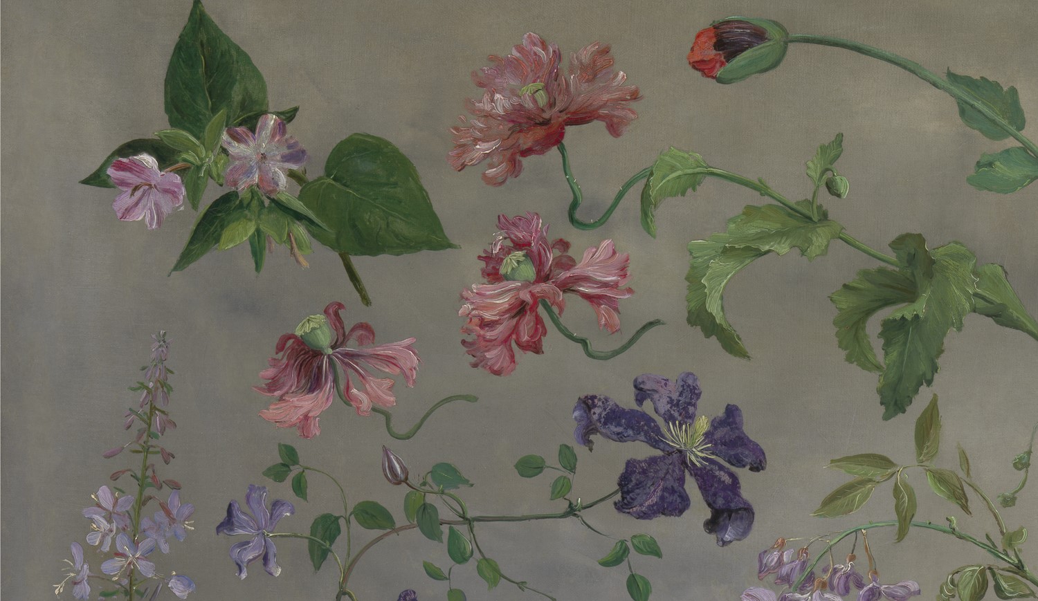 Studies of Flowers pintura de Jacques-Laurent Agasse, 1848