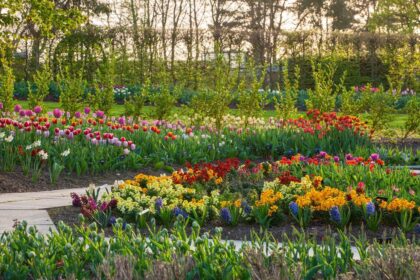 Tulipanes, narcisos, jacintos, alhelíes y otras flores de primavera en RHS Garden Wisley