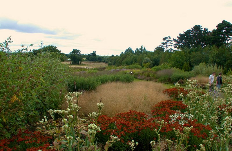 Glasshouse Borders Wisley Oudolf