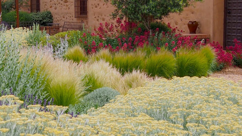 Jardin con plantas mediterráneas y gramineas en Toledo de Miguel Urquijo uno de los paisajistas contemporáneos