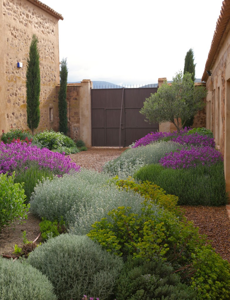 Jardin con plantas mediterráneas y gramineas en Toledo Miguel Urquijo