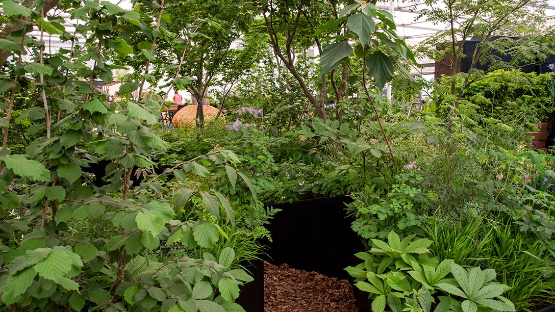 4 jardines en Chelsea 2022 celebran los poderes de las plantas en 'All About Plants' EL BLOG