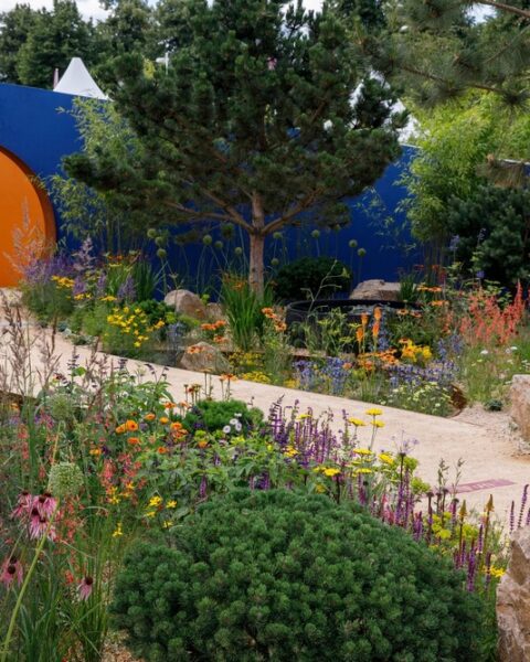 Jardín diseñado por Matthew Childs en Hampton Court Garden Festival 2022