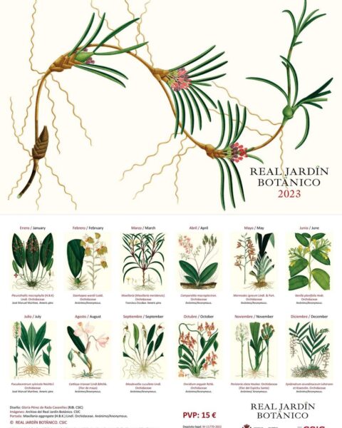 Calendario Real Jardín Botánico (RJB-CSIC) con dibujos de orquídeas de la colección Mutis