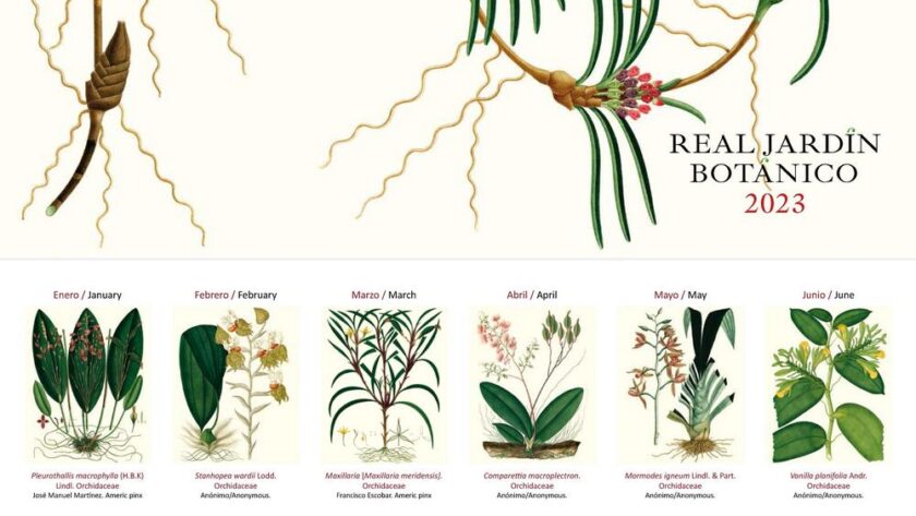 Calendario Real Jardín Botánico (RJB-CSIC) con dibujos de orquídeas de la colección Mutis
