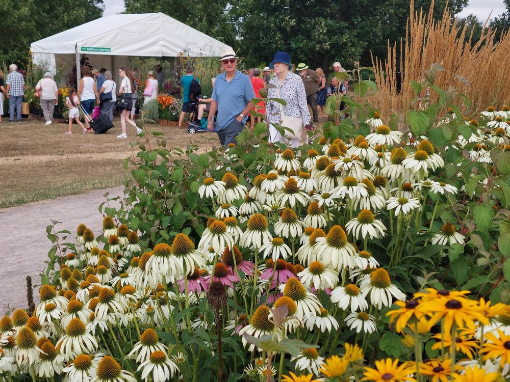 Visitantes en el festival de jardinería RHS Hyde Hall Flower Show 2022, en el condado de Essex, Inglaterra