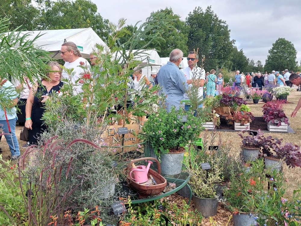 Visitantes en el último de día del festival de jardinería RHS Hyde Hall Flower Festival 2022 