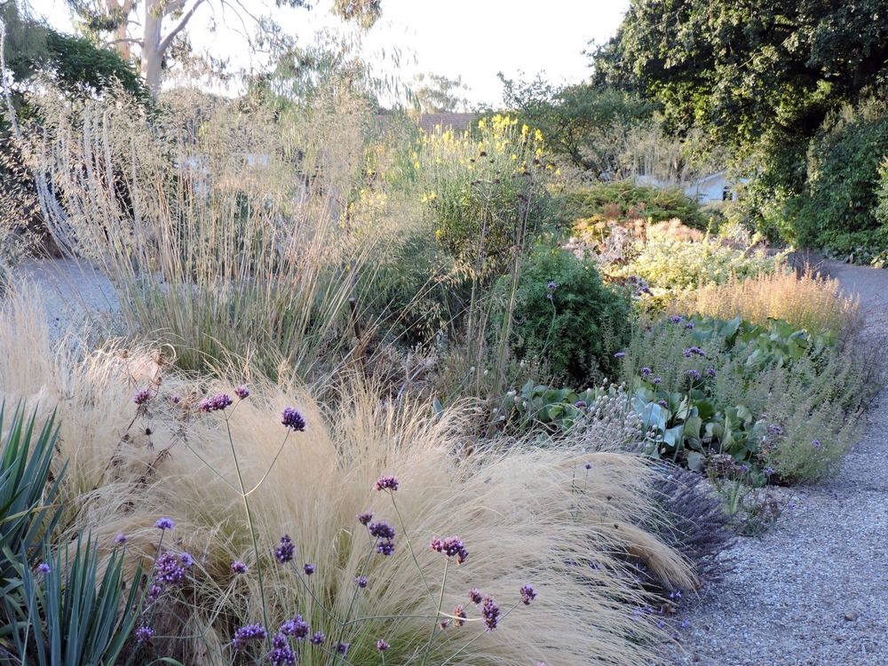 Reservoir Garden en los Jardines de Beth Chatto