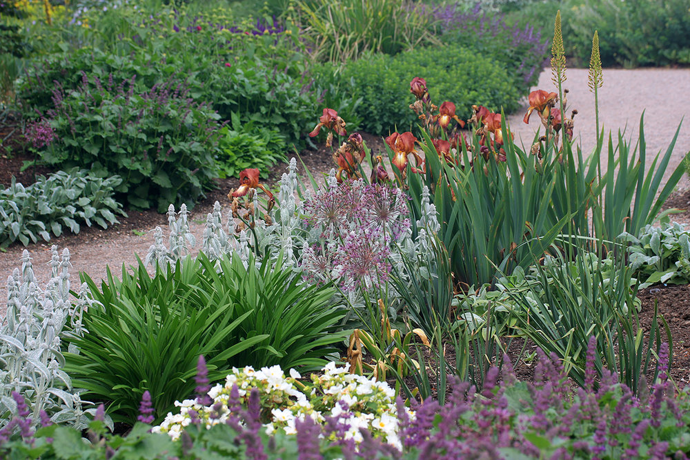 Reservoir Garden en los Jardines de Beth Chatto