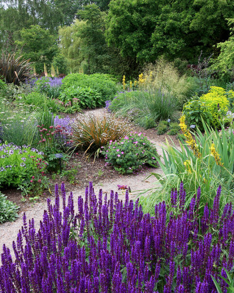 Reservoir Garden en los jardines de Beth Chatto