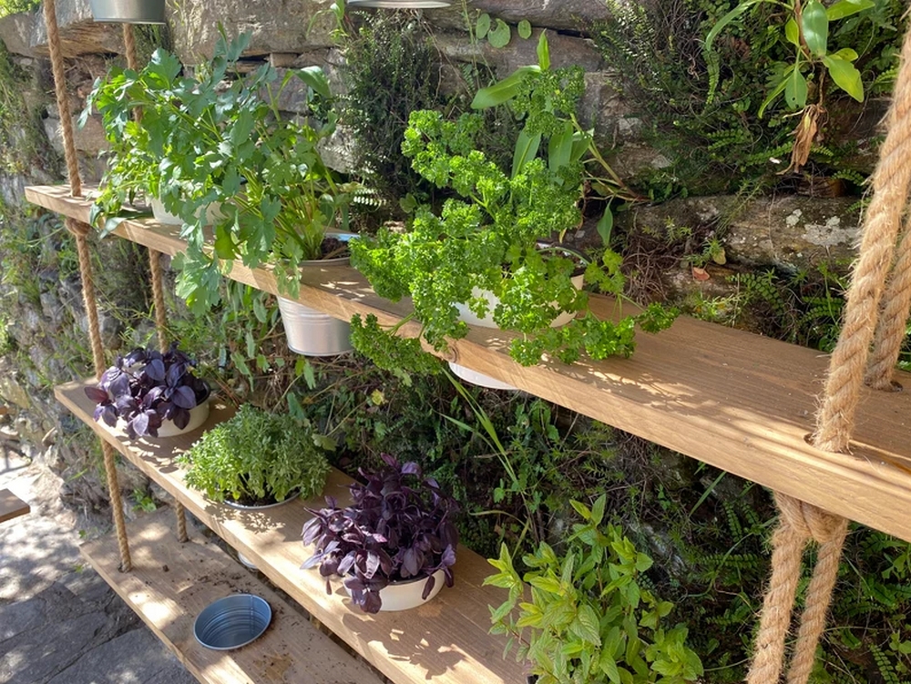 jardines colgantes hechos con estantes de madera y cuerda, ideales para cultivar hierbas aromáticas en patios o terrazas