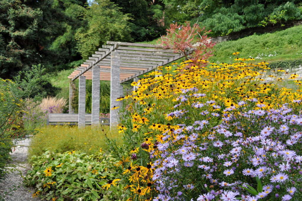 Jardín de plantas vivaces en Mainau, la isla de flores del conde jardinero en Constanza, Alemania 