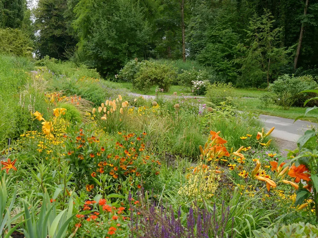 Jardín de plantas vivaces de Mainau en Agosto. Hemerocallis, Knophofia, Allium, Heliopsis helianthoides var. scabra y Helianthus decapetalus