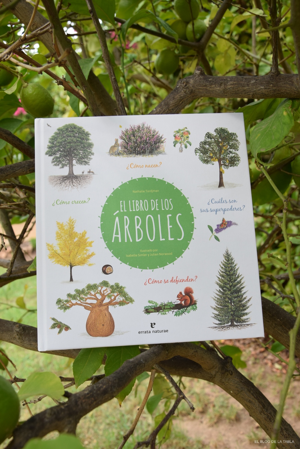 Risa Canciones infantiles Salto El Libro de los Árboles, una guía interactiva para descubrir todos sus  secretos - EL BLOG DE LA TABLA