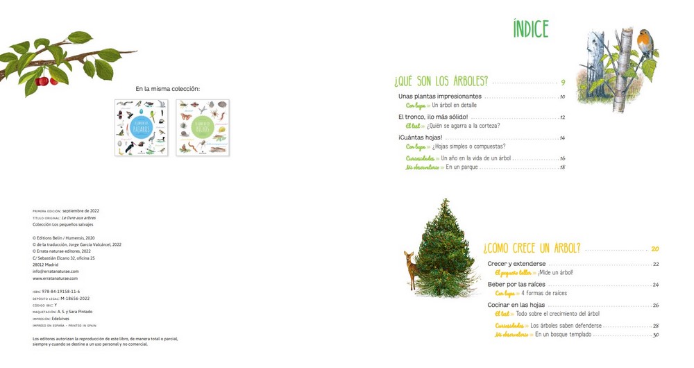 Índice de El Libro de los Árboles, una guía interactiva para descubrir el increíble mundo de los árboles
